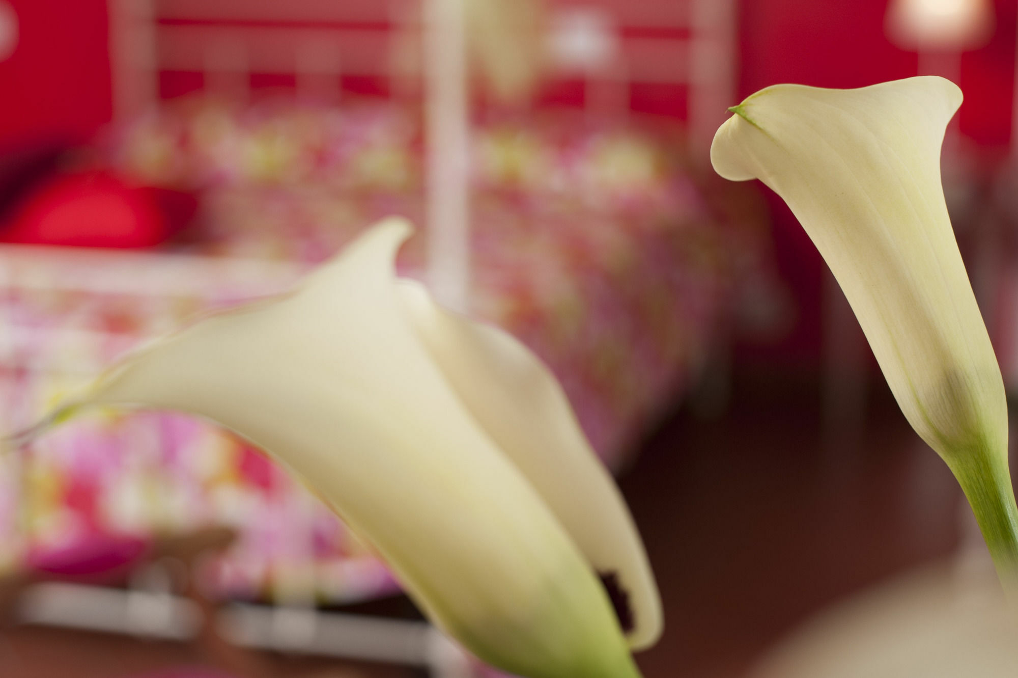 ラポラーノ・テルメ Antico Granaione Bed & Breakfast エクステリア 写真
